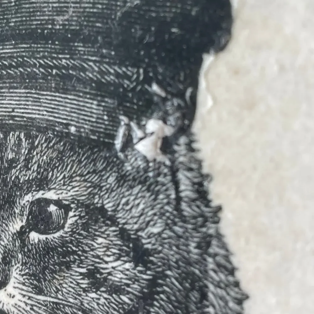 Anthropomorphic Animal Stone Tile Coasters Dog Cat Owl Rabbit Drawing Image READ